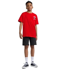 Levi's Boys' 8-20 Waterfront View Graphic T-Shirt