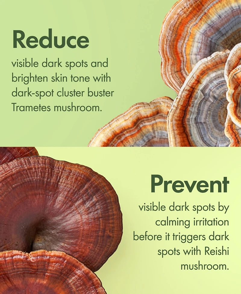 Origins Mega-Mushroom Dark Spot Brightening Moisturizer