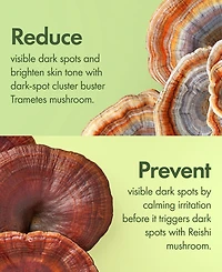 Origins Mega-Mushroom Dark Spot Brightening Moisturizer