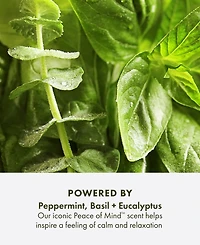 Origins Peace Of Mind Relaxing Bath Oil, 5 oz.