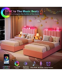 gaomon Frame with Led Storage Headboard Kids Platform Bed with 2 Drawers Boucle Upholstered Wave Headboard Bookcase