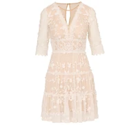 Adrianna Papell Women's V-Neck Lace Embroidery Dress