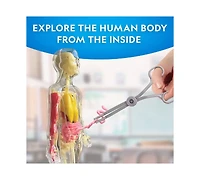 National Geographic Glow-In-The-Dark Human Body