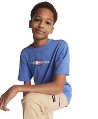 Tommy Hilfiger Boys' 8-20 Linear Flag Short-Sleeve T-Shirt