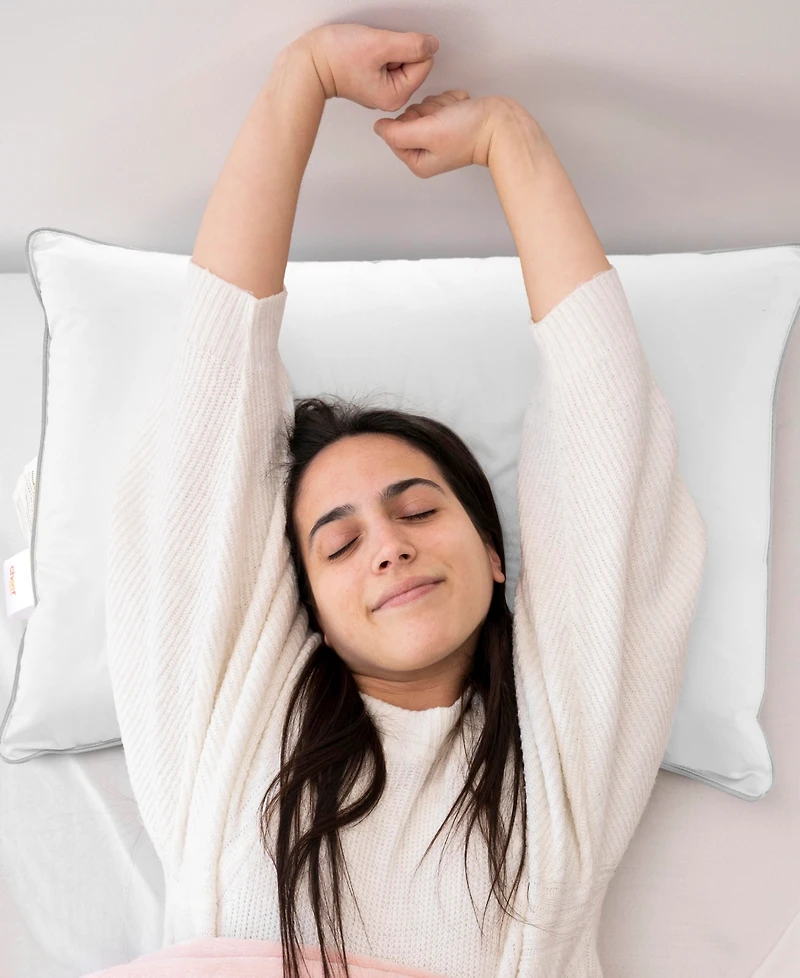 Cheer Collection Down Alternative 4-Pack Pillows