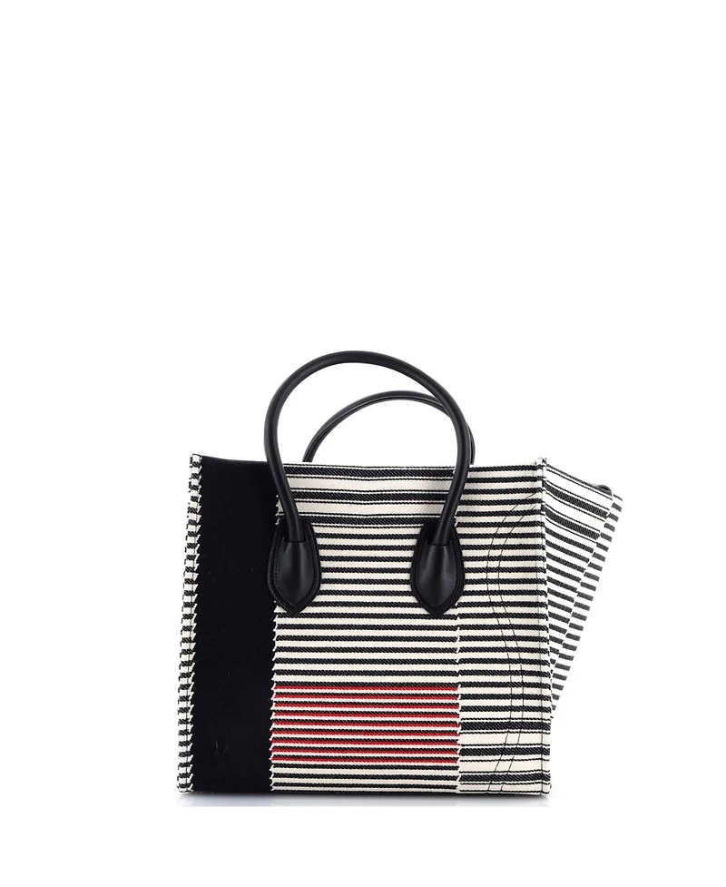 Pre-Owned Celine Medium Phantom Bag Striped Canvas