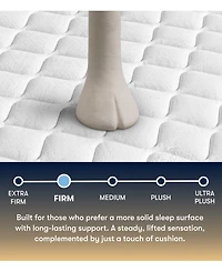 Serta Perfect Sleeper Cascade Canyon 13" Firm Tight Top Mattress