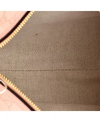 Pre-Owned Gucci Super Mini Ophidia Zip Shoulder Bag Gg Coated Canvas
