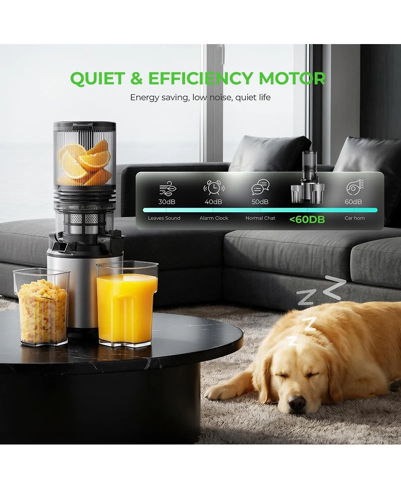 Stainless Steel Ice Maker 33Lbs/ 24Hrs Self-Clean Function with Scoop