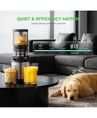 Stainless Steel Ice Maker 33Lbs/ 24Hrs Self-Clean Function with Scoop