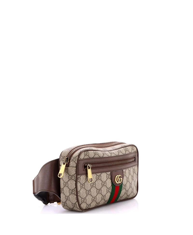 Pre-Owned Gucci Medium Ophidia Belt Bag Gg Coated Canvas