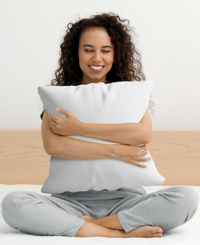 Cheer Collection 2-Pack Pillows, European