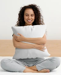 Cheer Collection 2-Pack Pillows, European
