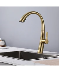 Busdays Single Handle Stainless Steel Pull Out Kitchen Faucet