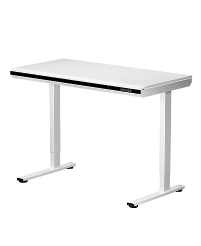 FlexiSpot ED2 48"W Electric Adjustable Standing Desk, White (ED2W-e
