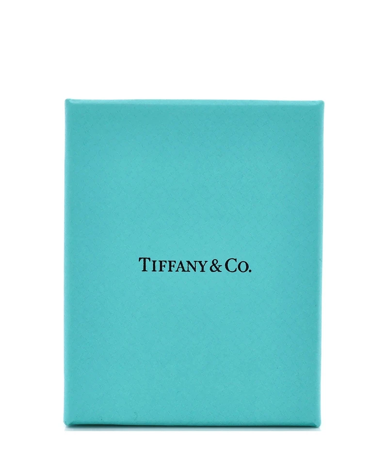 Pre-Owned Tiffany & Co Hardwear Lock Necklace
