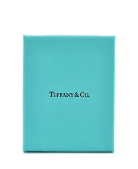 Pre-Owned Tiffany & Co Hardwear Lock Necklace