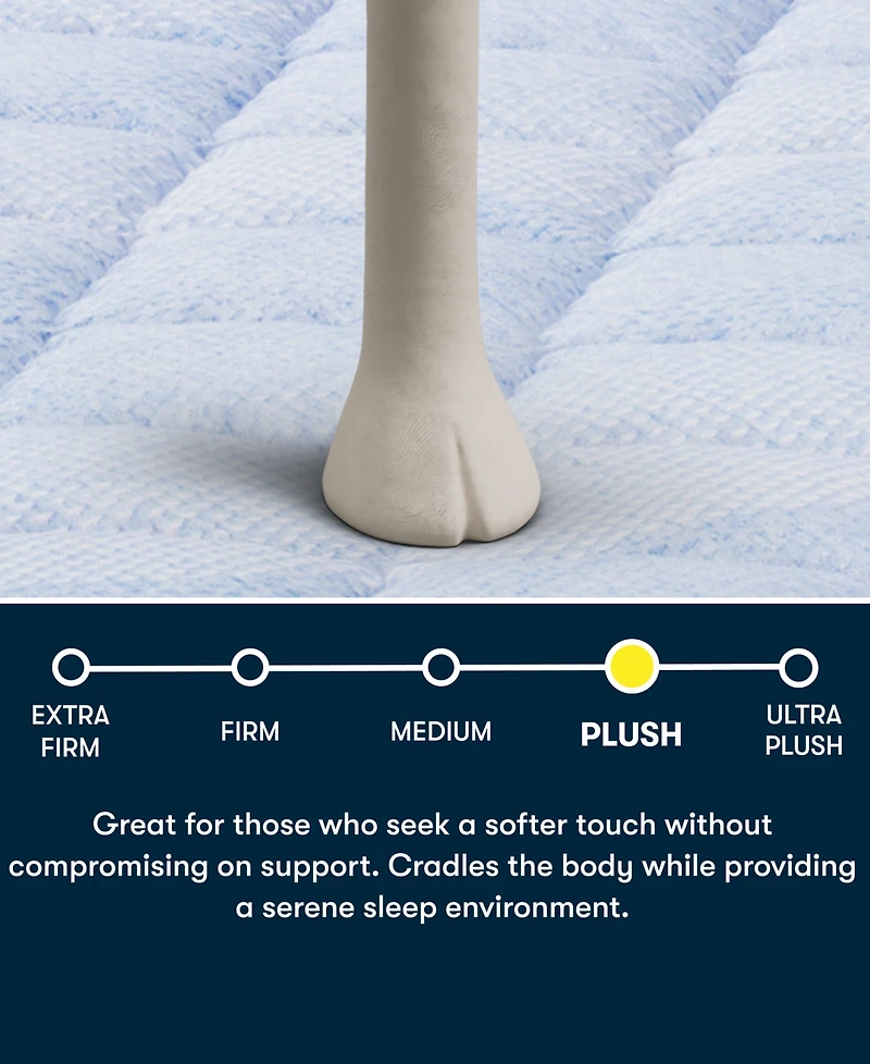 Serta Dream Haven 16" Plush Pillow Top Mattress, Queen