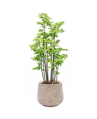 LuxenHome LuxenHome Distressed Tan MgO Tapered Round Planter