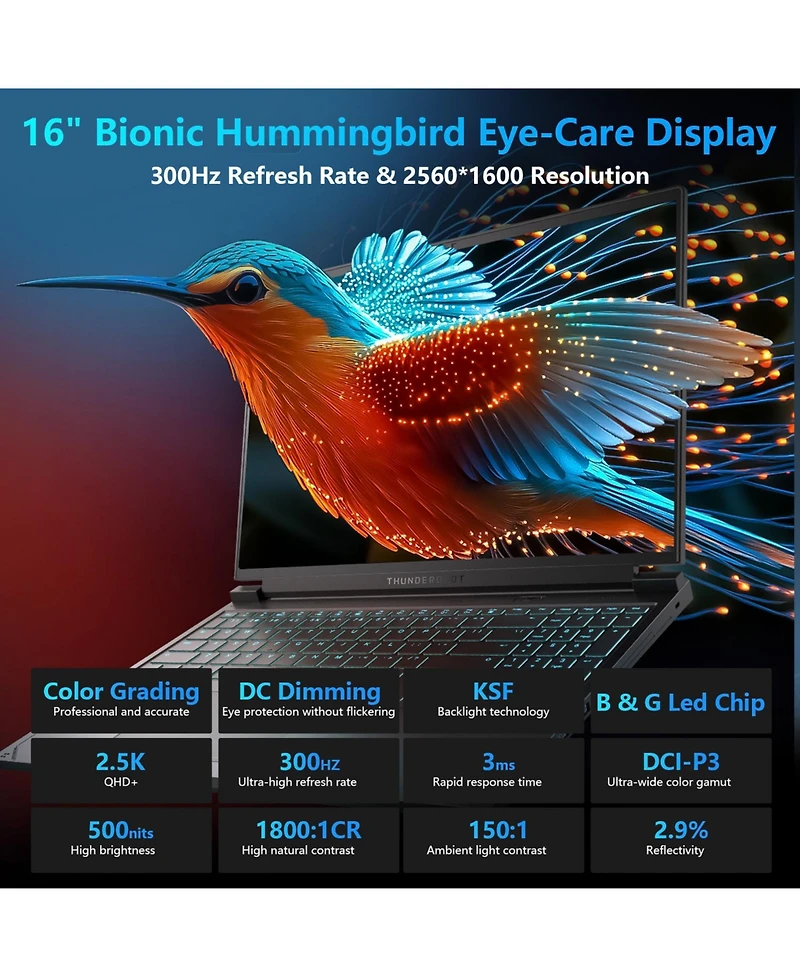 Thunderobot Radiant S 16 Traditional Laptop Amd Ryzen 9 ,16GB Ram Nvidia GeForce Rtx 5060 1TB Ssd Storage Windows 11 Home 300Hz