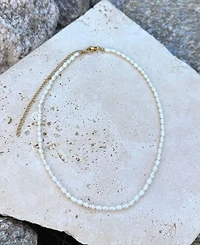 Adornia Tarnish Resistant Freshwater Pearl Seed Strand Necklace