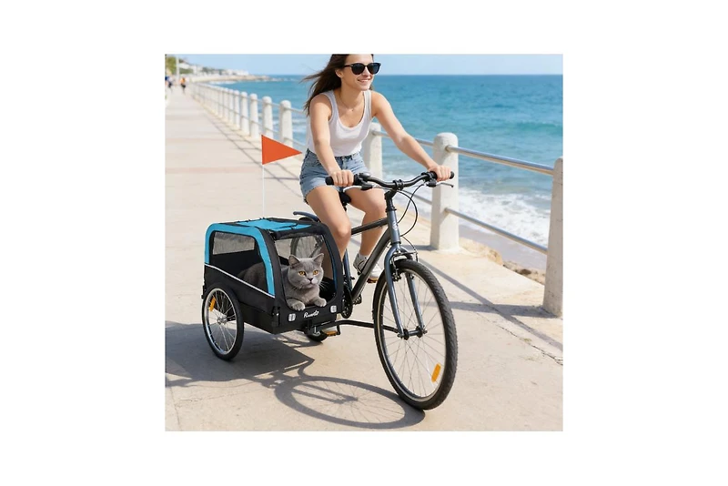 Zeus and Ruta Cat Bike Trailer with 20 Air Tires Quick Release Wheels Reflectors Flag Spacious Design Easy Setup