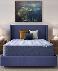 Serta Dream Haven 14 Plush Tight Top Mattress In A Box Collection