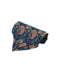 Trafalgar Men's The Prince Stately Paisley Silk Ascot