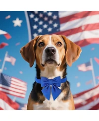 Aronkl Plaid Collar With Checkered Bowtie Adjustable Breakaway Collars For All Breeds Comfortable Cotton Birthday Gift