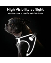 Aronkl Step-in Dog Harness Breathable Mesh Reflective Soft Padded for Small Dogs Cats