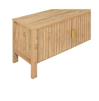 New Classic Furniture Thayer Wood Tv Console with Two Doors