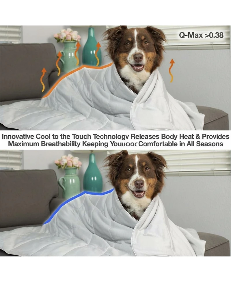 Aronkl Lightweight Pet Blanket Machine Washable Multiple Sizes for Cats Dogs All Seasons