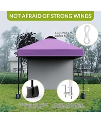 gaomon 10x10 Pop Up Canopy with Sidewalls for Outdoor