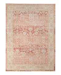 Amer Rugs Century Cen-8 Salmon 5'3" x 7'3" Area Rug