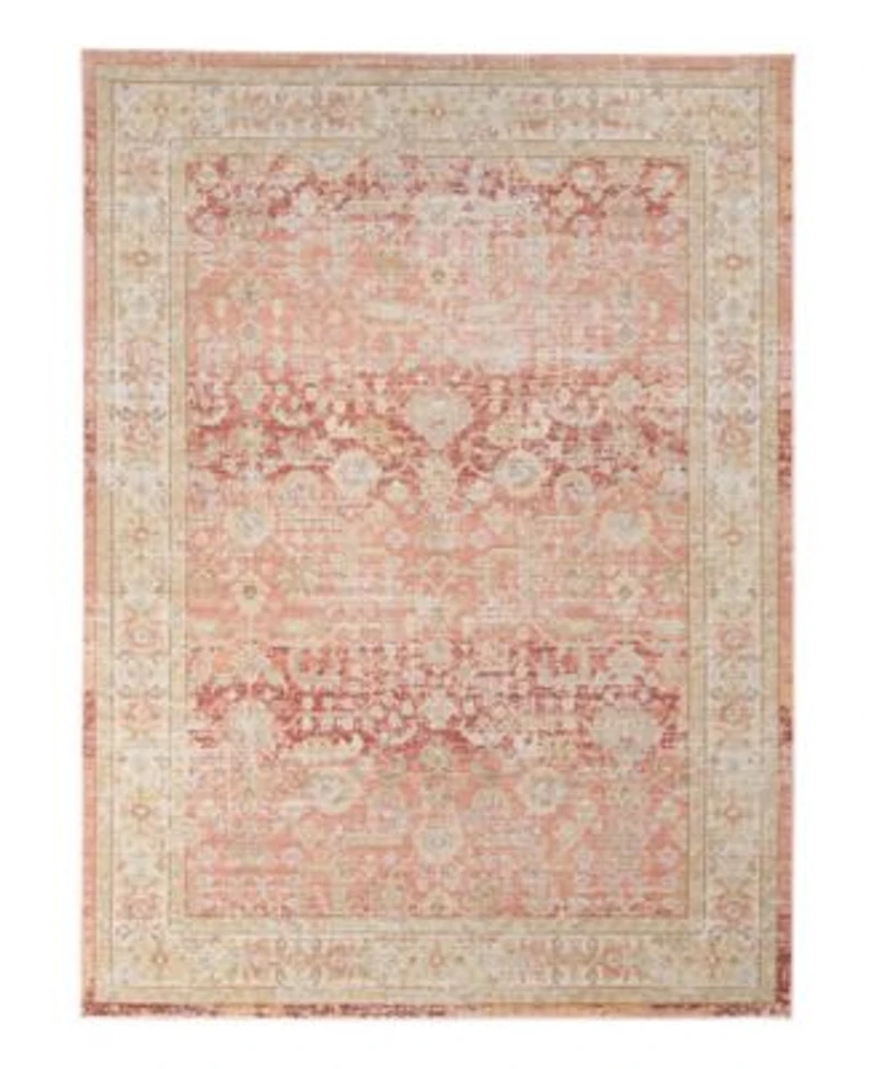 Amer Rugs Century Cen 8 Salmon Area Rug Collection