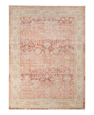 Amer Rugs Century Cen 8 Salmon Area Rug Collection