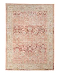 Amer Rugs Century Cen 8 Salmon Area Rug Collection
