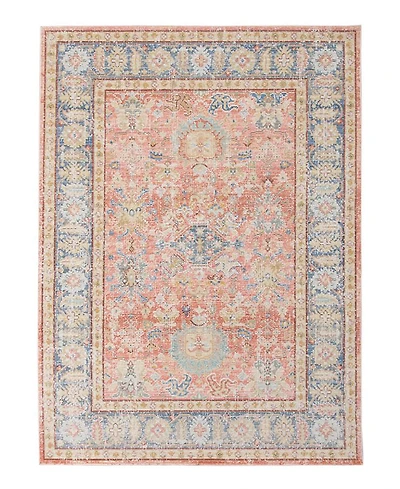 Amer Rugs Century Cen-16 Coral 5'3" x 7'3" Area Rug