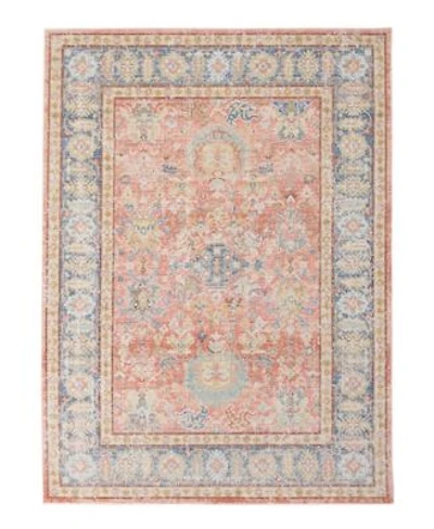 Amer Rugs Century Cen 16 Coral Area Rug Collection