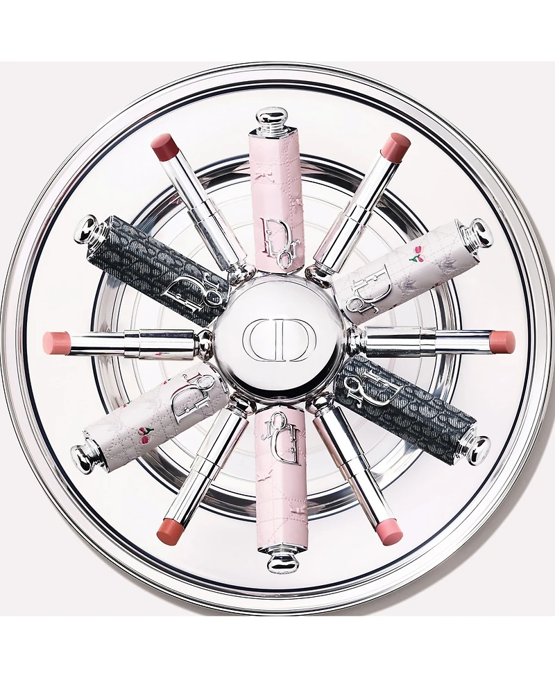 Dior Addict Limited Edition Refillable Case