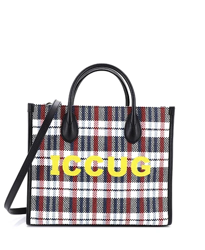 Pre-Owned Gucci Small Iccug Tote Embroidered Faux Raffia