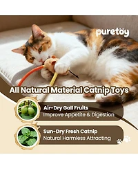 Nocciola 3 Pack Cat Chew Ropes with Cat Herb Filling Rats, Strong Braided Ropes and Gall Fruits, Natural Stimulation for Cats