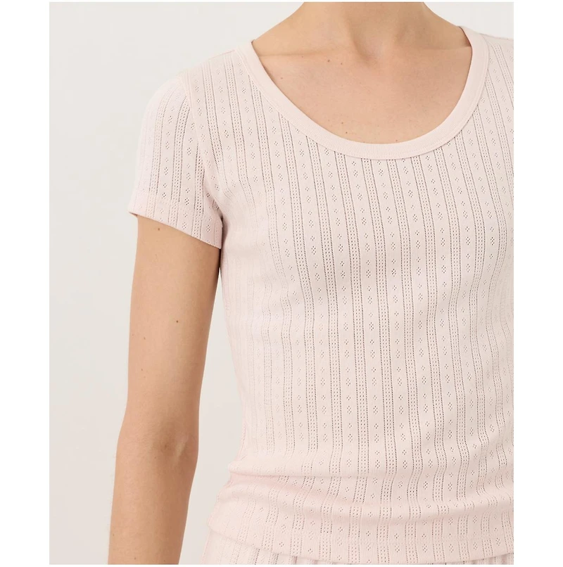 Pact Women's Organic Cotton Pointelle Scoop Neck Tee
