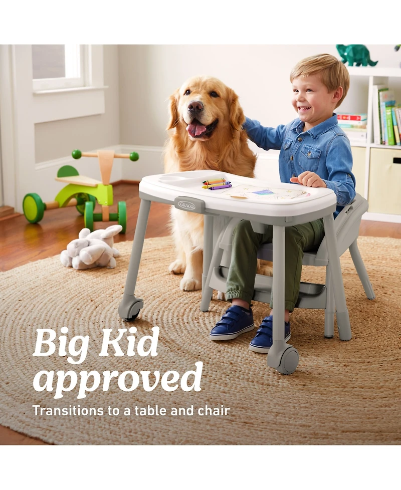 Graco Baby and Toddler Table2Table Lx 6-in-1 Highchair