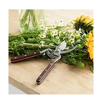Verve Culture Thai Kitchen and Garden Shears
