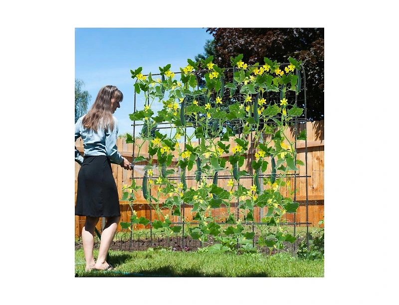 Lucky One 71 x 71 Inch U-Shaped Garden Trellis for Climbing Plants, Tall Arched Frame