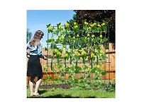 Lucky One 71 x 71 Inch U-Shaped Garden Trellis for Climbing Plants, Tall Arched Frame