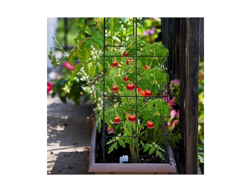 Lucky One 4 Pack Garden Trellis for Climbing Plants, Folding Metal Plant Support