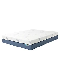 Noctua Tern 12" Hybrid Firm Tight Top Mattress
