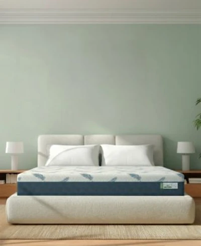 Noctua Sora 10 Hybrid Firm Tight Top Mattress In A Box Collection